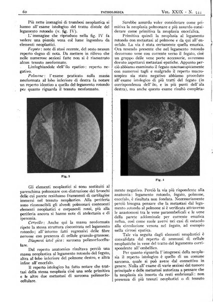 Pathologica rivista quindicinale