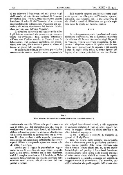 Pathologica rivista quindicinale