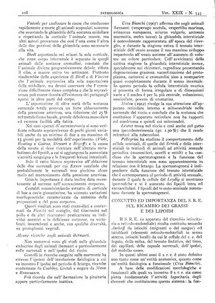 Pathologica rivista quindicinale