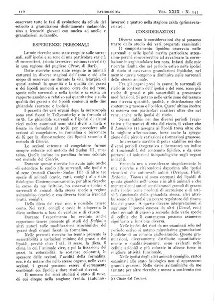 Pathologica rivista quindicinale