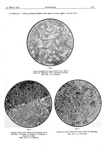 Pathologica rivista quindicinale