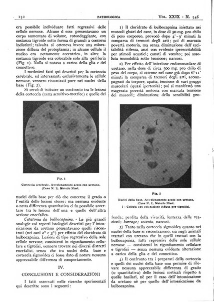 Pathologica rivista quindicinale