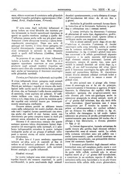 Pathologica rivista quindicinale