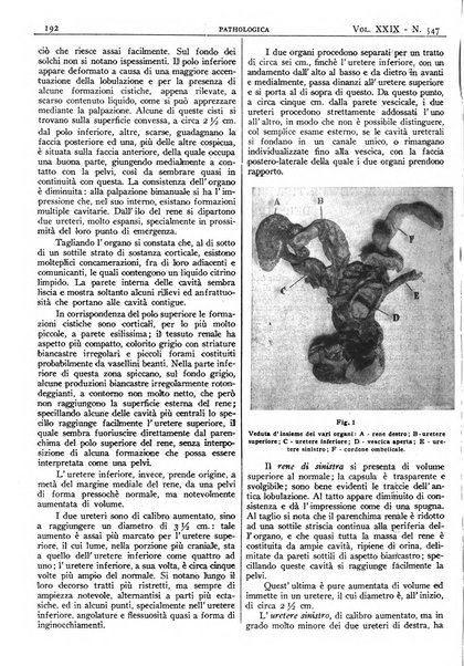 Pathologica rivista quindicinale