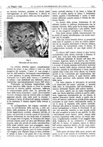 giornale/CFI0361052/1937/unico/00000215