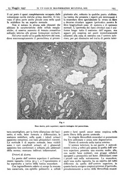 Pathologica rivista quindicinale