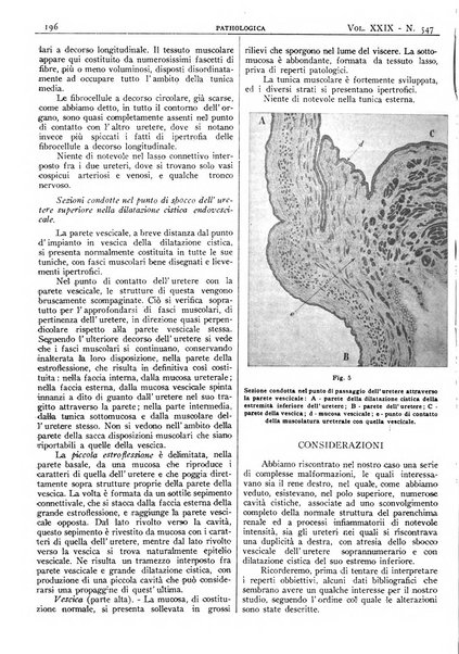 Pathologica rivista quindicinale