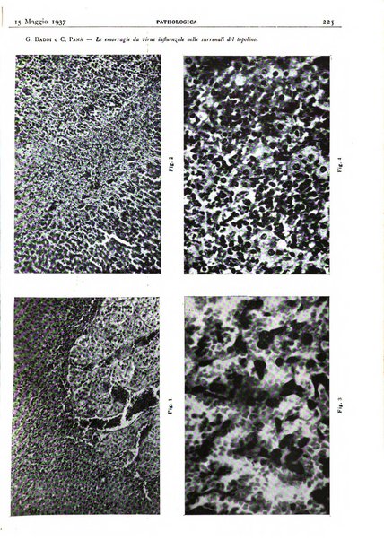 Pathologica rivista quindicinale