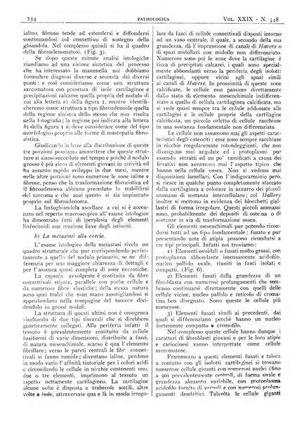 Pathologica rivista quindicinale