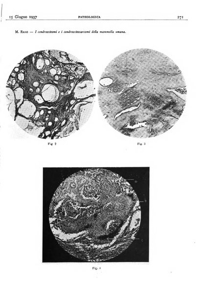 Pathologica rivista quindicinale