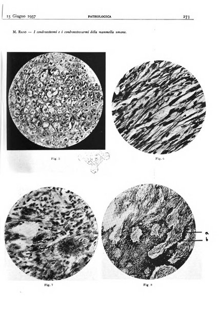 Pathologica rivista quindicinale