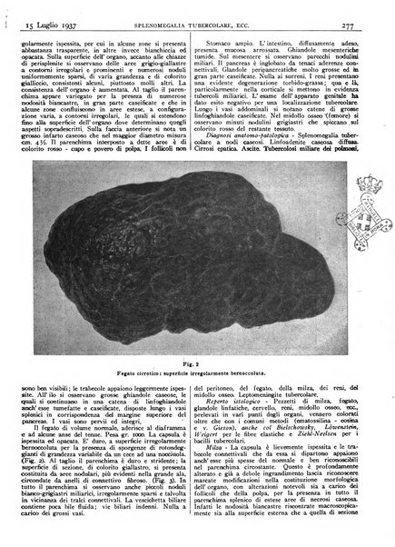 Pathologica rivista quindicinale