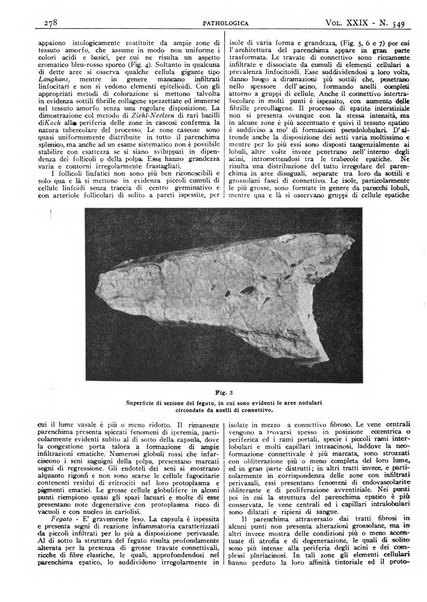 Pathologica rivista quindicinale