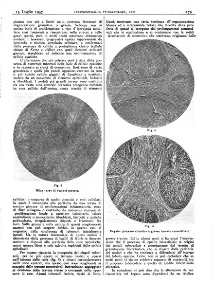 Pathologica rivista quindicinale