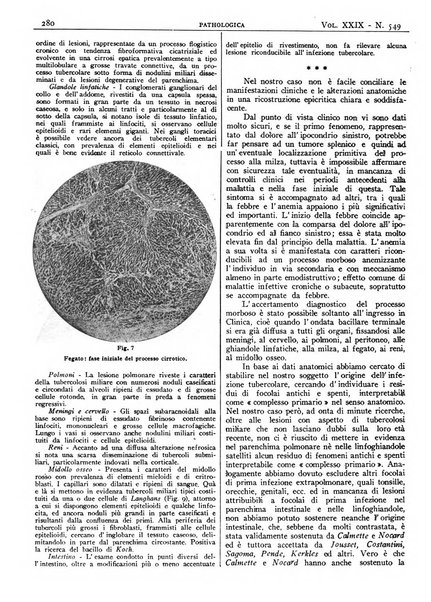 Pathologica rivista quindicinale