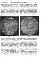 giornale/CFI0361052/1937/unico/00000363