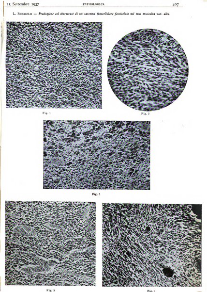 Pathologica rivista quindicinale