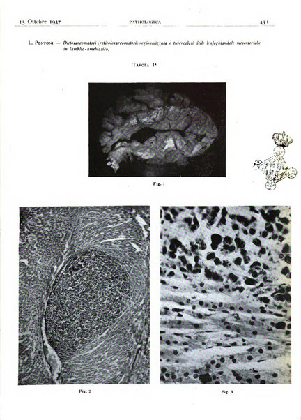 Pathologica rivista quindicinale