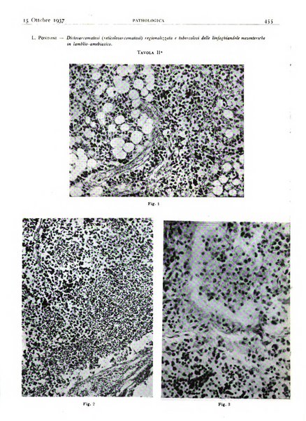 Pathologica rivista quindicinale