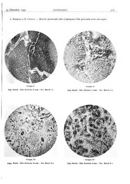 Pathologica rivista quindicinale