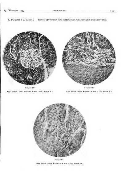 Pathologica rivista quindicinale