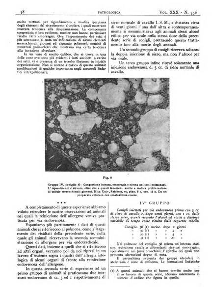 Pathologica rivista quindicinale