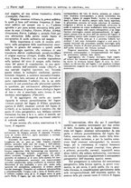 giornale/CFI0361052/1938/unico/00000109