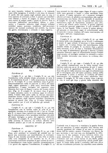 Pathologica rivista quindicinale