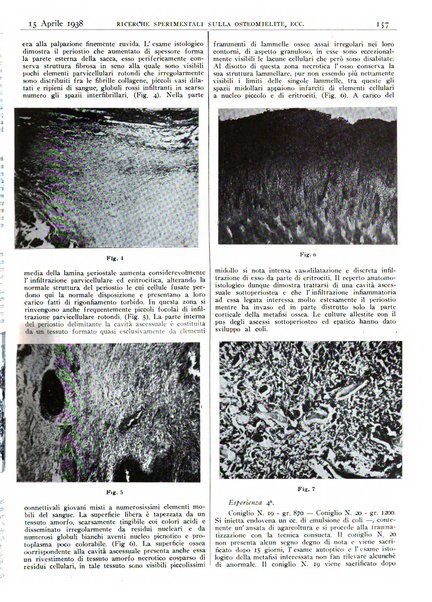 Pathologica rivista quindicinale