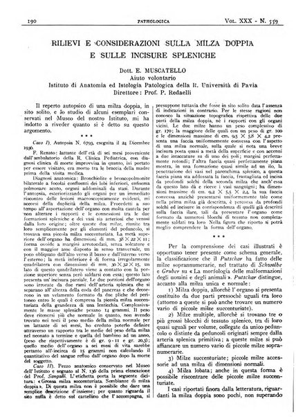 Pathologica rivista quindicinale