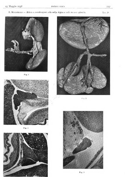 Pathologica rivista quindicinale