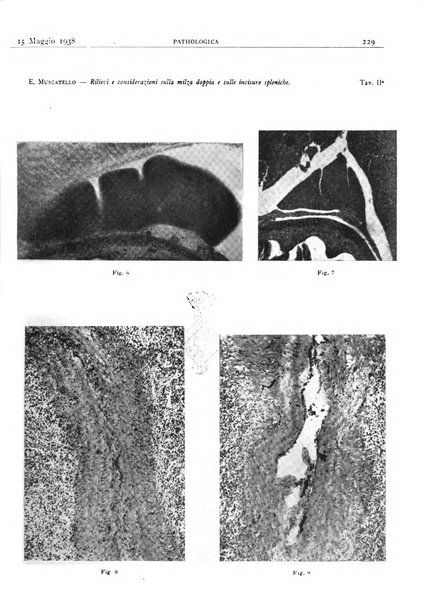 Pathologica rivista quindicinale