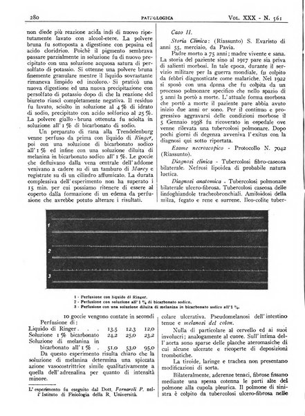 Pathologica rivista quindicinale