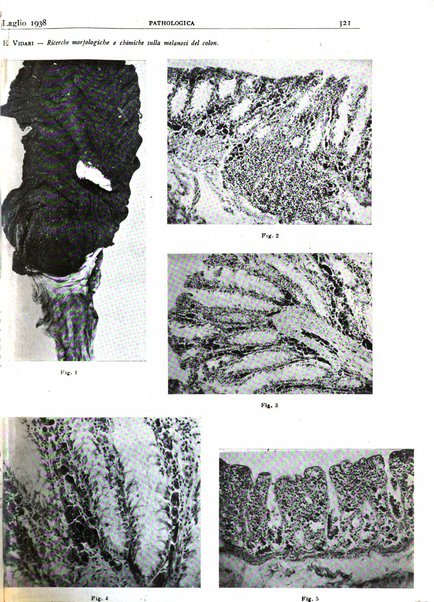 Pathologica rivista quindicinale