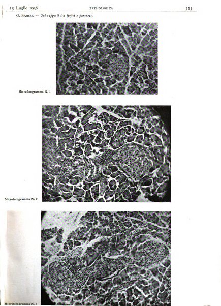 Pathologica rivista quindicinale