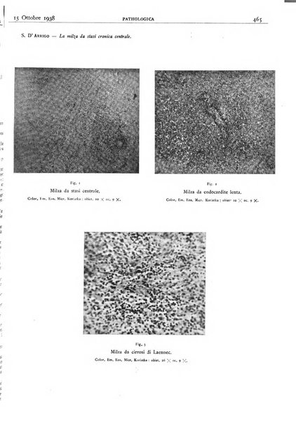 Pathologica rivista quindicinale