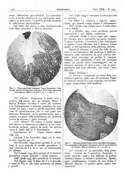 Pathologica rivista quindicinale