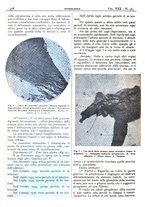 giornale/CFI0361052/1938/unico/00000524