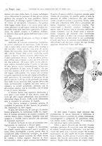 giornale/CFI0361052/1939/unico/00000209