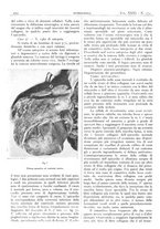 giornale/CFI0361052/1939/unico/00000358