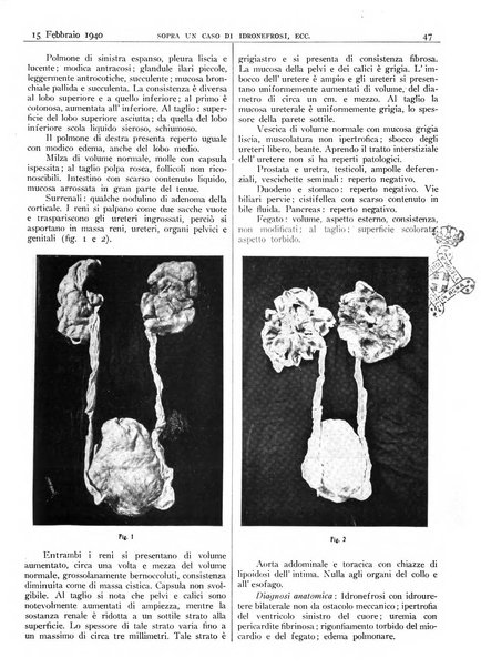 Pathologica rivista quindicinale