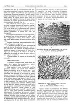 giornale/CFI0361052/1940/unico/00000117