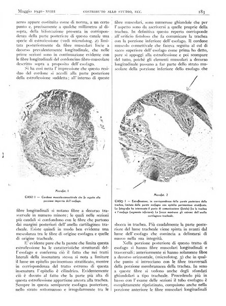 Pathologica rivista quindicinale