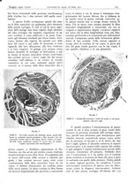 giornale/CFI0361052/1940/unico/00000207