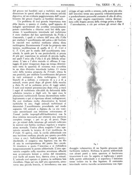 Pathologica rivista quindicinale