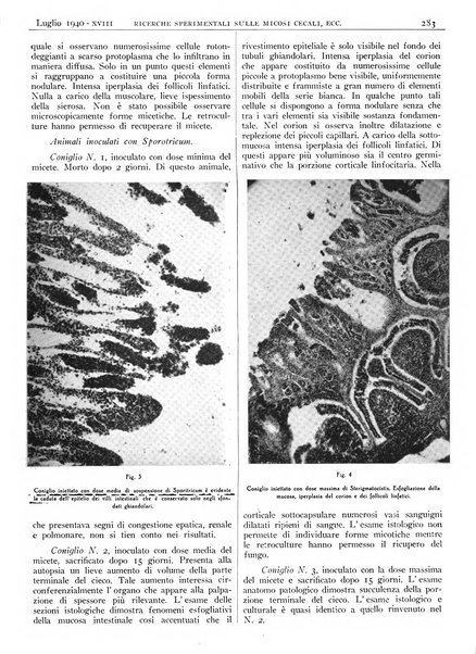 Pathologica rivista quindicinale