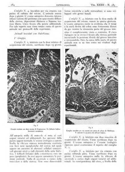 Pathologica rivista quindicinale