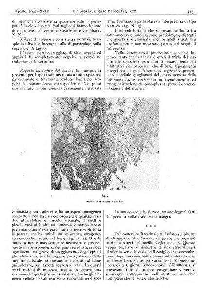 Pathologica rivista quindicinale