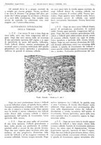 giornale/CFI0361052/1940/unico/00000393