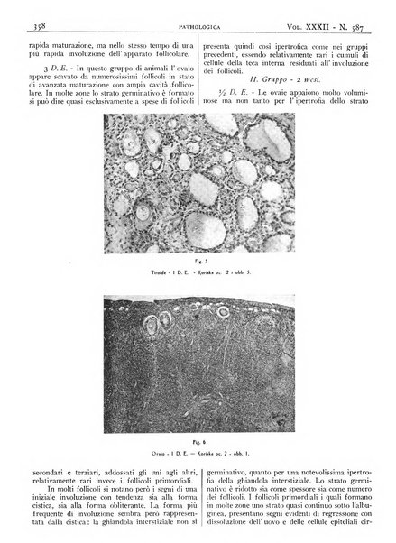 Pathologica rivista quindicinale